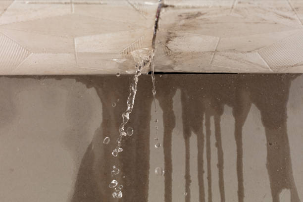 Professional Water Damage Repair technician working in Nunica, MI